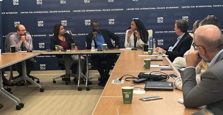 CIPE Panel on Sudan